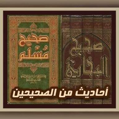Read more about the article الأحاديث النبوية  القصار (200 حديث من الصحيحين)